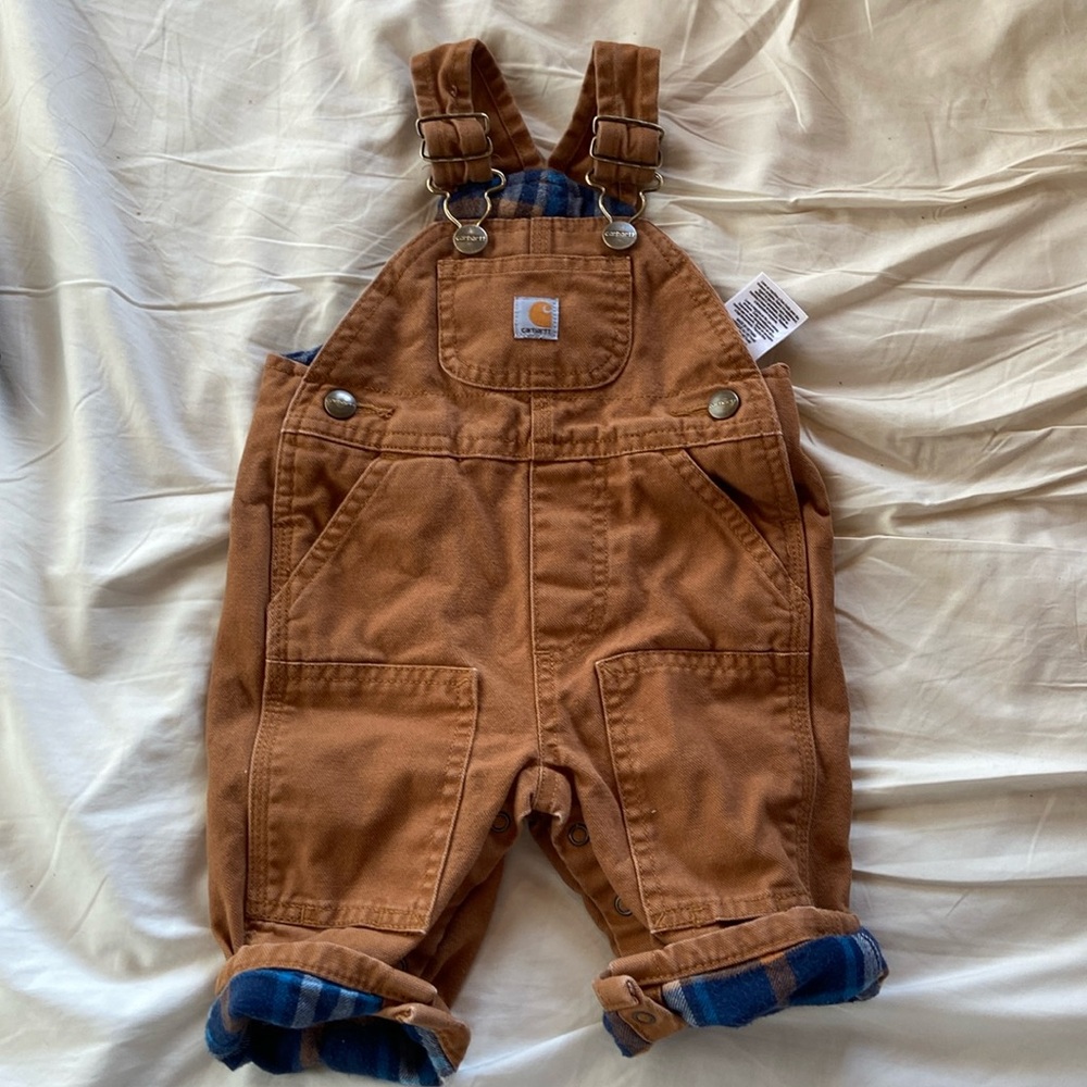 Flannel lined Carhartts - 3M